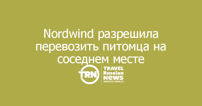 Nordwind разрешила перевозить питомца на соседнем месте